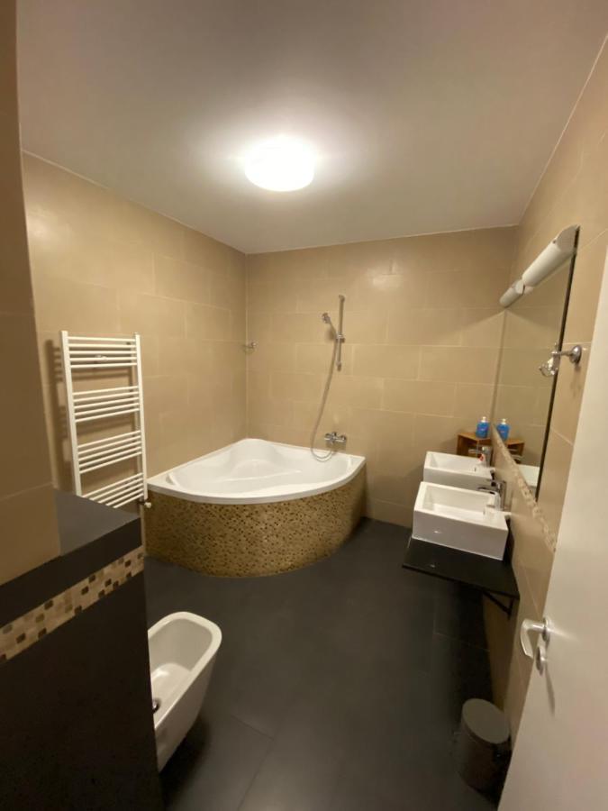 Apartment Gaga 3 Timişoara